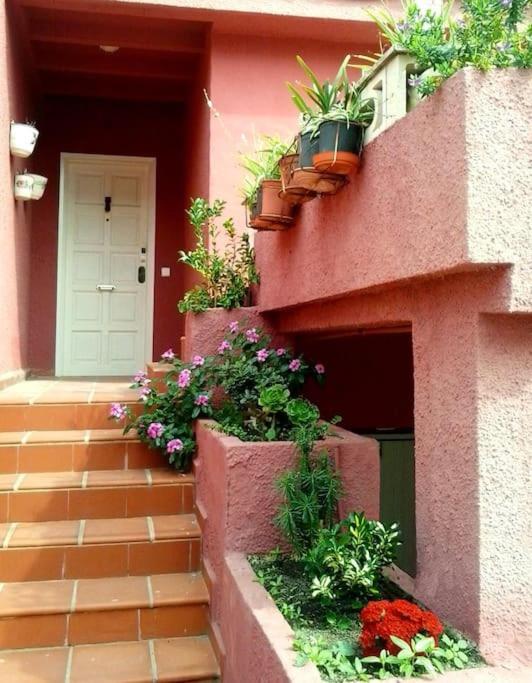 Beachfront House, Valencia, Wifi, Paddle Surf Board, Incredible Views Sueca Ngoại thất bức ảnh