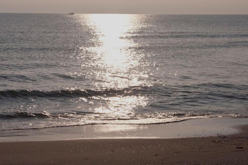 Beachfront House, Valencia, Wifi, Paddle Surf Board, Incredible Views Sueca Ngoại thất bức ảnh
